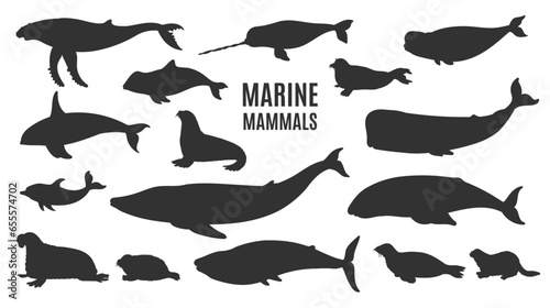Marine mammals silhouettes set, flat vector illustration isolated on white background.