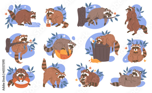 Fototapeta Naklejka Na Ścianę i Meble -  Raccoon mammal animals cartoon characters set flat vector illustration isolated.