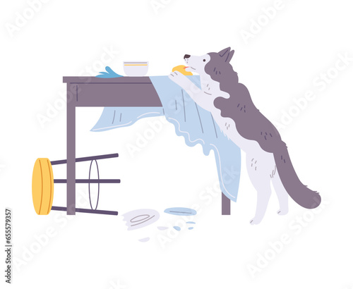 Pet mess, overturned chair, broken plate from dining table and torn tablecloth, vector disorder from play naughty dog