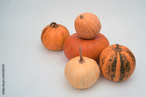 Five big orange Halloween pumpkins on a white background top view