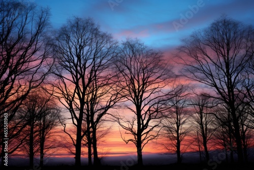 trees silhouetted against a chilled dawn sky
