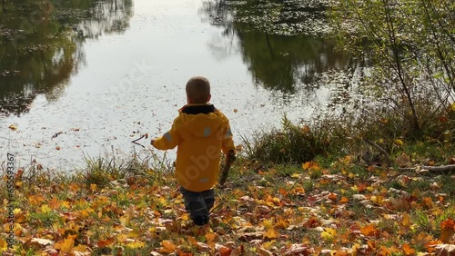 toddler child playing by the pond in autumn park, little boy in yellow jacket walking in Aleksandrovsky Park, Pushkin, St. Petersburg, Russia. photo