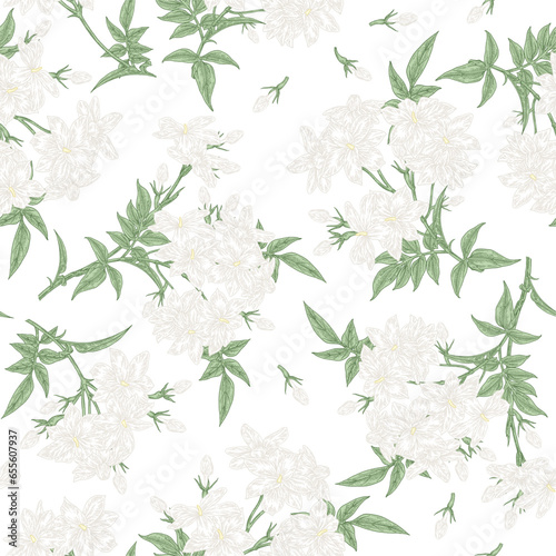 White jasmine flowers seamless pattern. Flowers of Jasminum officinale plant isolated on white. Vector illustration botanical. Hand drawn vintage style.
