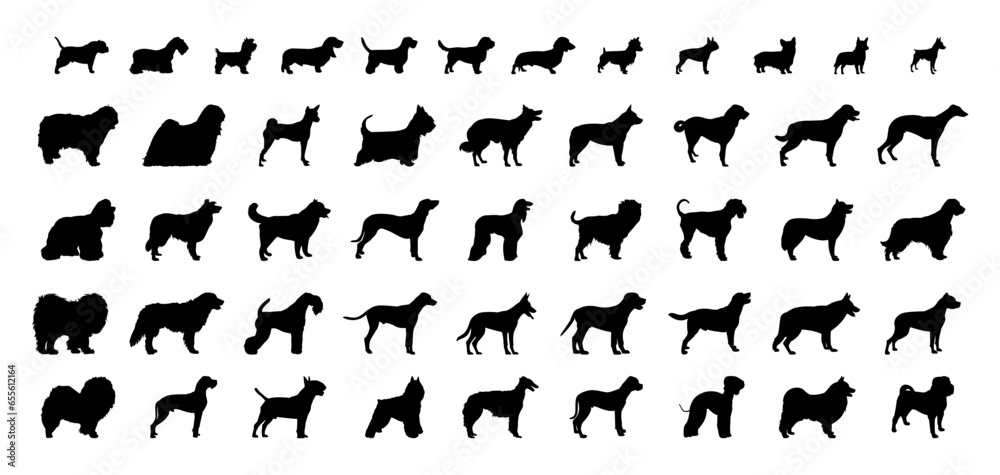 Vector set detailed silhouettes of 
dogs of different types isolated on white background.