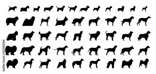 Vector set detailed silhouettes of 
dogs of different types isolated on white background.