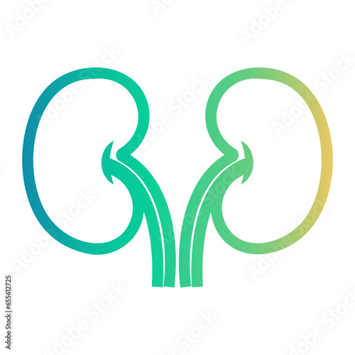 kidney icon