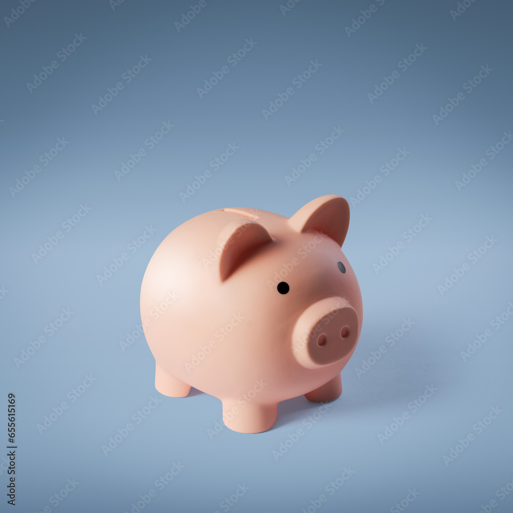 Piggy bank: investments and savings