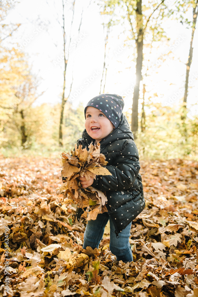 Little girl throws up yellow autumn leaves. Daughter walks in forest