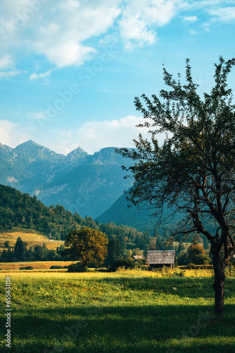 Beautiful landscape of Bohinj, Slovenia. Farmhouse and meadow in summer morning with Julian Alps in background, scenic image of Triglav national park.