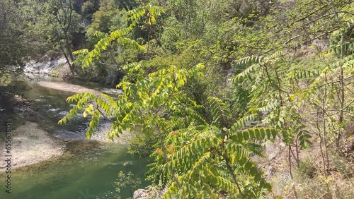 Corso d'acqua nel parco della gola della Rossa e di Frasassi nelle Marche photo