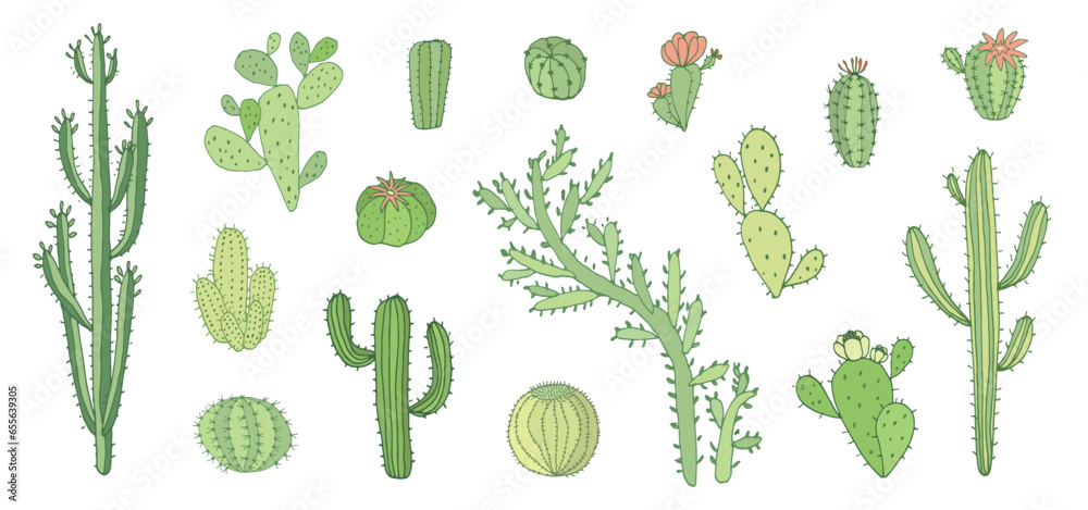 Cactus green doodle vector illustrations set. Cactus green doodle vector illustrations set.