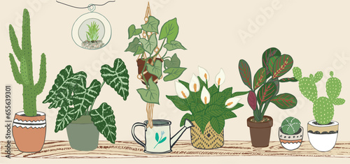 Home plants with pots vector illustrations set.