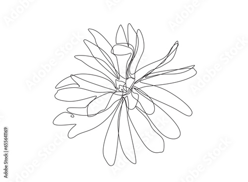 Continuous Line Magnolia FlowerVector Icon, Monoline Flowering Magnolia Stellata, One Line Star Magnolia