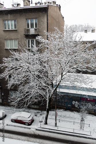 snow covered trees in winter