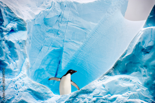 Adelie penguin (Pygoscelis adeliae) on blue ice berg. Graham Passage, Antarctic Peninsula, Antarctica. DIGITAL COMPOSITE.  photo