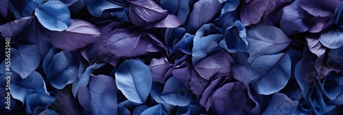 Indigo , Hd Background, Background For Computers Wallpaper
