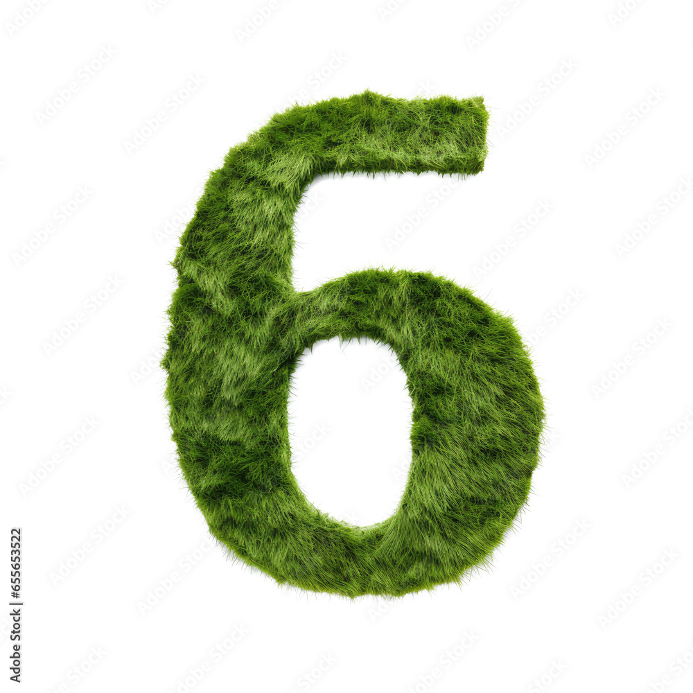 green grass forming number six, 6, alphabet text font character isolated on white in nature, growth and eco environment concept. green grass forming number six, 6, alphabet text font character isolated on white in nature, growth and eco environment concept.