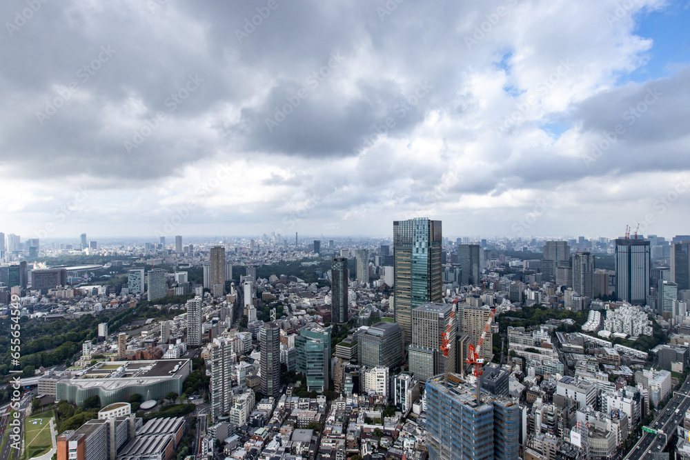 Vue de la ville de Tokyo depuis l'observatoire de la tour Mori