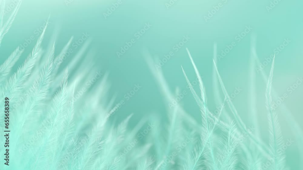 Turquoise feather close-up. Selective focus, slow motion feather background. Macro. Green fluffy background Turquoise feather close-up. Selective focus, slow motion feather background. Macro. Green fluffy background