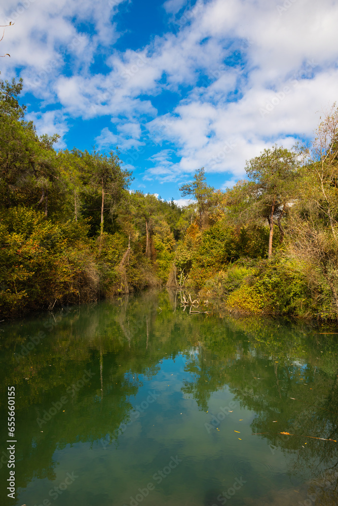 Pond in the forest or a park with cloudy sky vertical view
