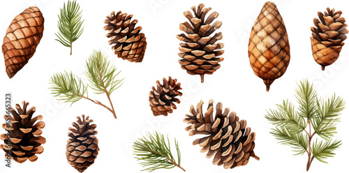 Set watercolor Christmas pine cones on white background.