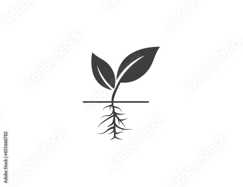 Plant, roots icon. Vector illustration.