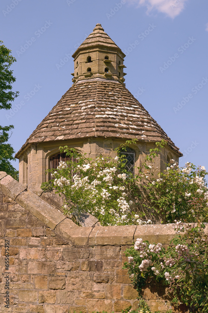 Dovecot set against blue sky surrounded by white roses