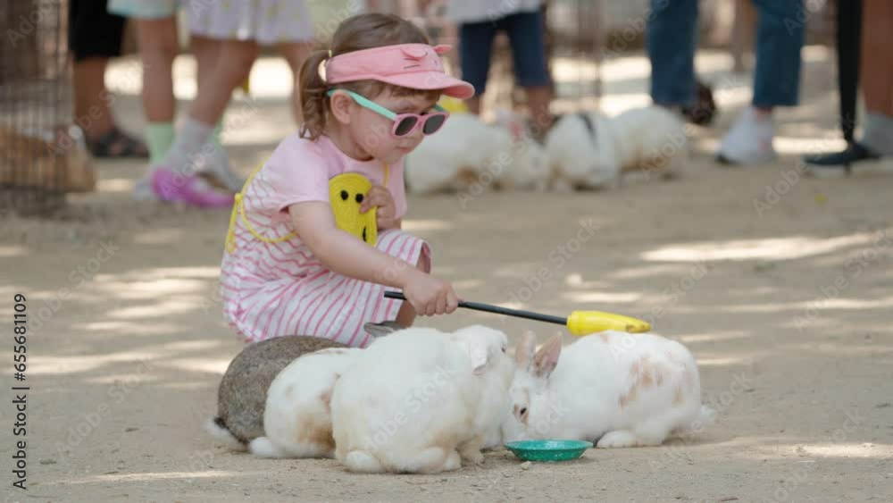 Adorable Little Girl Strokes Rabbits While Bunnies Eating Food Fed in ...