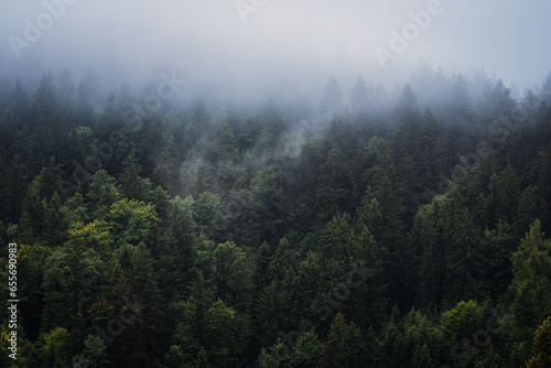 Foggy mountains and forest landscape during the atmospheric sunrise with the best mystic atmosphere in Triglavski national park, Slovenia, Europe.