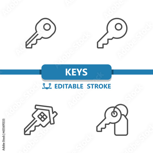 Keys Icons. Key, Keychain, Key Fob, Keyring, Real Estate Vector Icon