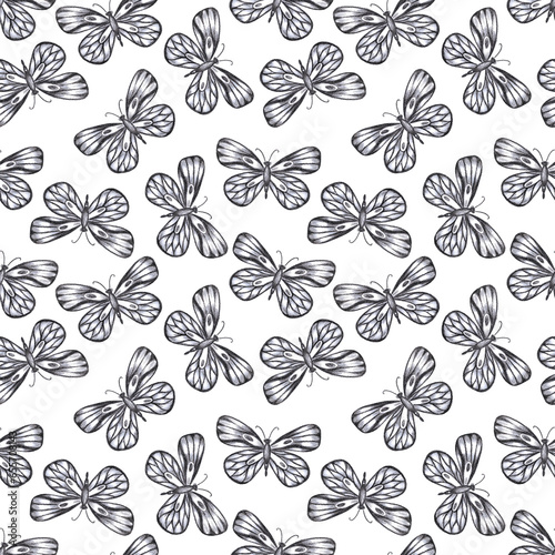 Hand drawn black pencil butterfly seamless pattern isolated on white background. Can be used for textile  fabric  ornament and other printed products.