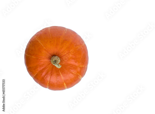 Top view of pumpkin with transparent layer