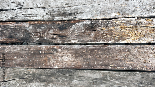 wood texture - old wooden plancks background photo