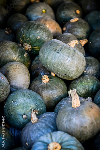 Kürbis, Shokichi Shiro, Cucurbita Maxima, Speisekürbis, Kürbisernte, Kürbisfest, Herbst, Herbstmarkt, Nordwestschweiz, Schweiz photo