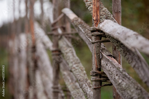 The posts of an old picket fence on an autumn day in the countryside