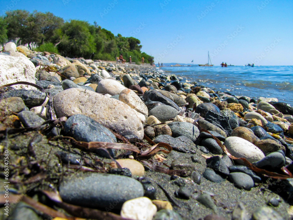 Stones of different colors and sizes lie on the seashore against a background of blue sky and green trees.