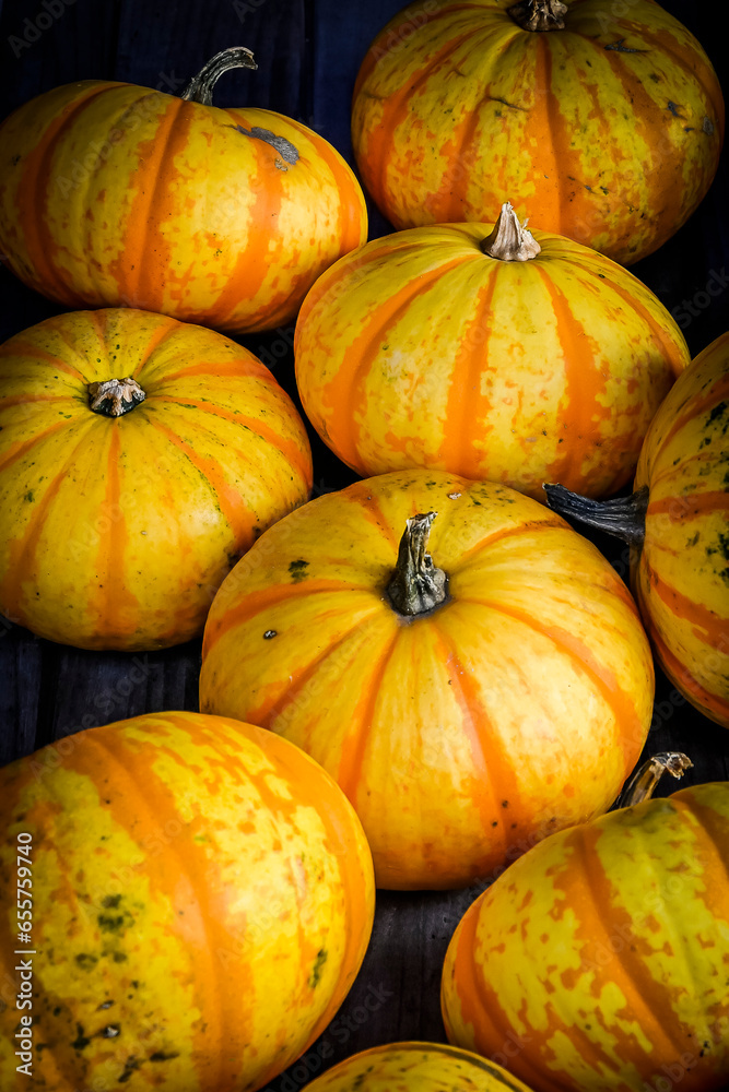 Kürbis, Blaze, Cucurbita Pepo, Speisekürbis, Kürbisernte, Kürbismarkt, Kürbisfest, Herbst, Schweiz Kürbis, Blaze, Cucurbita Pepo, Speisekürbis, Kürbisernte, Kürbismarkt, Kürbisfest, Herbst, Schweiz