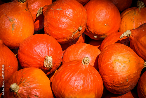 Kürbis, Knirps, Oranger Knirps, Hokkaidokürbis, Cucurbita Maxima, Speisekürbis, Potimarron, Kürbisernte, Kürbisrezepte, Herbstmarkt, Herbstfest, Herbst, Baselland, Schweiz photo