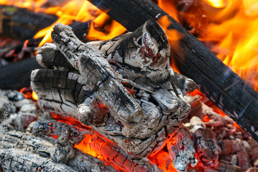 Burning firewood and coals of a fire close up Burning firewood and coals of a fire close up