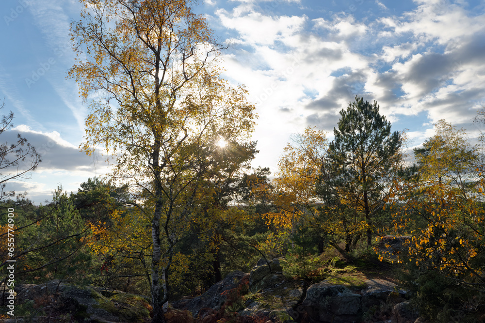 The franchard gorges in autumn season. Fontainebleau forest