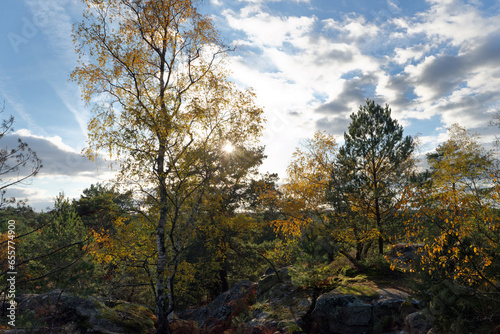 The franchard gorges in autumn season. Fontainebleau forest