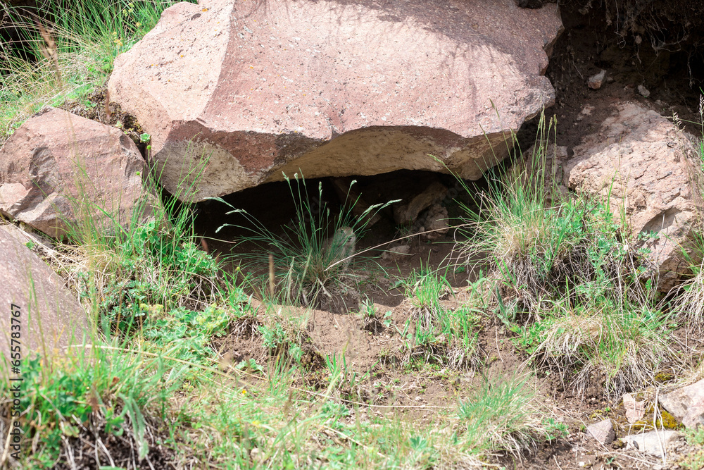 Beautiful view of Mount Elbrus and mountains , North Caucasus mountains, plateau Bermamyt