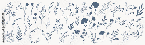 Set of elegant silhouettes of flowers, branches and leaves. Thin hand drawn vector botanical elements