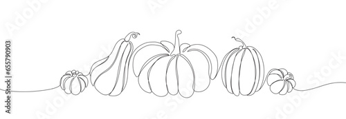 Outlines autumn pumpkins set. Hand drawn black and white line art doodle. Different pumpkins in silhouette Pumpkins line art for Thanksgiving day, Halloween, greeting cards, posters, and more.