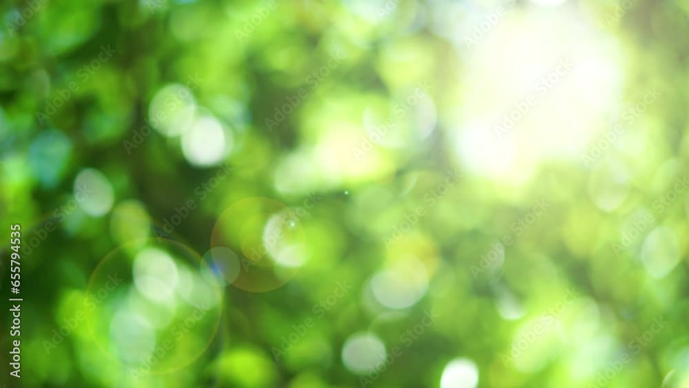 Natural green bokeh with light rays background Natural green bokeh with light rays background