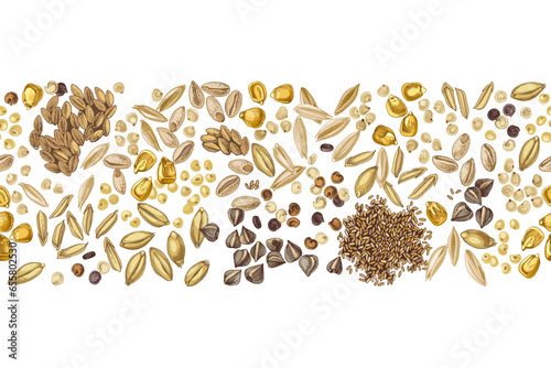 Cereal crop seeds seamless border