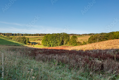 A view near Ditchling Beacon in Sussex with a blue sky overhead