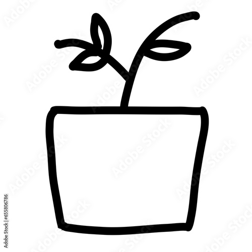 plant
