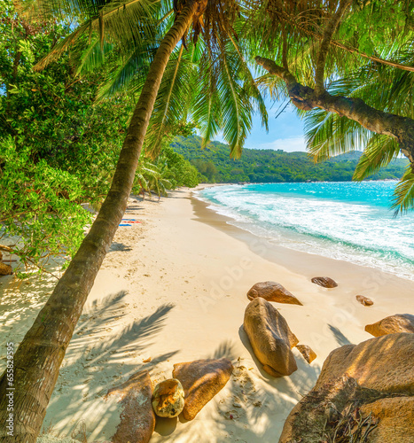 Fototapeta Naklejka Na Ścianę i Meble -  Palm trees and rocks in world famous Anse Lazio in Praslin island