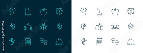 Set line Chestnut, Jam jar, leaf, Mushroom, Pumpkin, Apple, and Waterproof rubber boot icon. Vector